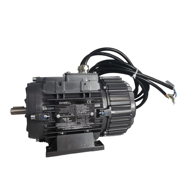 Il miglior motore EC monofase personalizzato da 230 V CA per efficienza